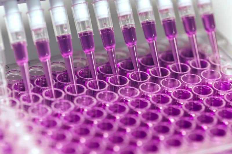 chemical engineering with test tubes