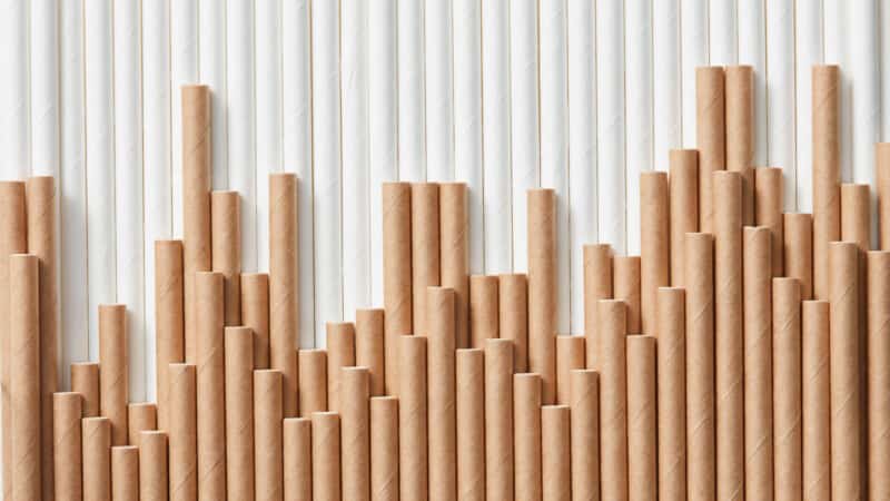 Paper straws graph net zero