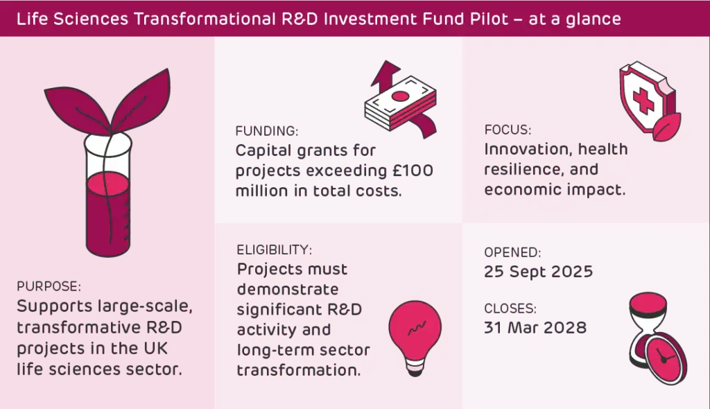 Graphic showing the key features of the government's Life Sciences Transformational R&D Investment Fund Pilot in a glance.